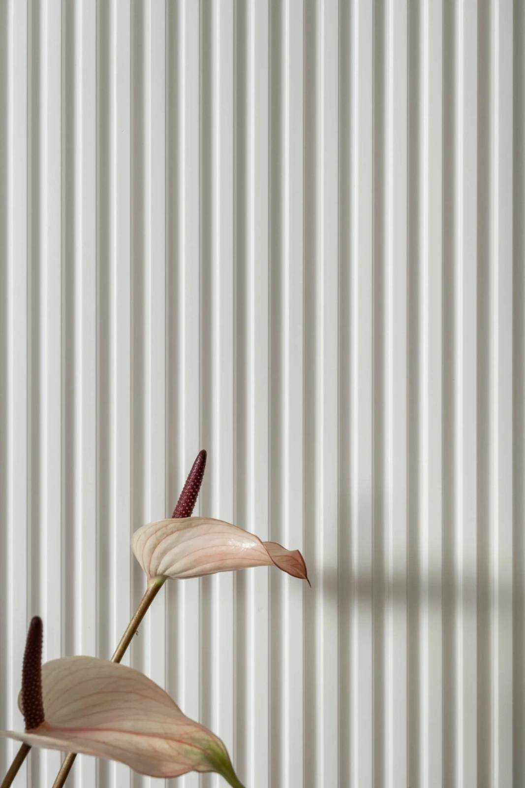 Lamela ścienna L0101 biała wym. 270 x 1.2 x 12 cm, z PolyForce