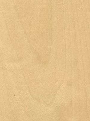 Listwa przypodłogowa fornirowana nielakierowana LP60 (230 cm x 5 cm x 2,8 cm) brzoza