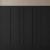 Farba RAL 9004