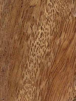 Listwa przypodłogowa fornirowana lakierowana Tali CP60 (240 cm x 6 cm x 1,8 cm) lakierowana