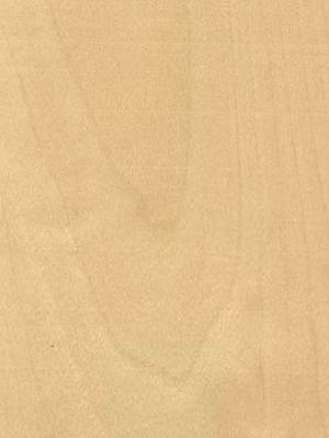 Listwa przypodłogowa fornirowana nielakierowana LP60 (230 cm x 5 cm x 2,8 cm) brzoza