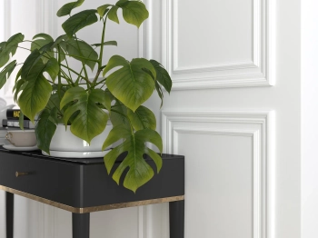 Sztukateria ścienna Mardom Decor MD325 + MD003 – zestaw listew dekoracyjnych